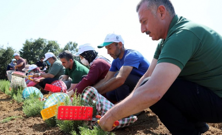 Kooperatif ve birliklere yüzde 75 hibe desteği   