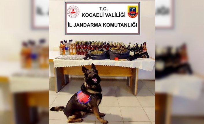 Kocaeli İl Jandarma Komutanlığının uyuşturucu ile mücadele kapsamında