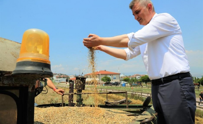 GÖLCÜK BELEDİYESİ, SOSYAL HİZMET TARLASINDA BU KEZ YEM BİTKİSİ YETİŞECEK