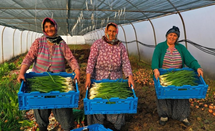 Tarımsal destekler, 2023’te çiftçinin yüzünü güldürdü;