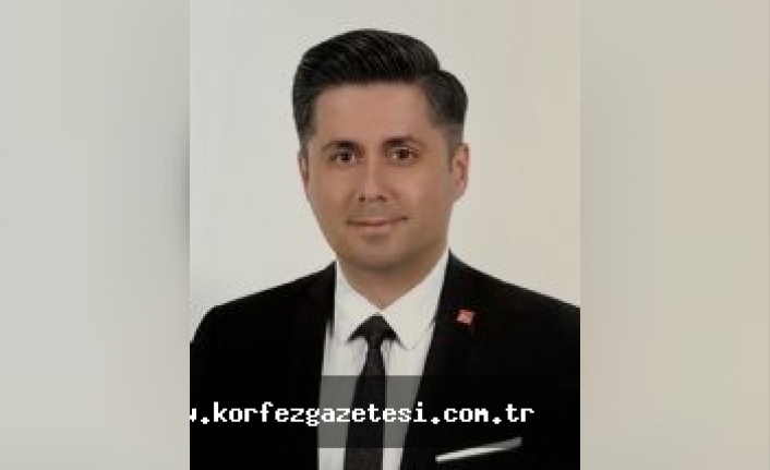 Meclis Üyesi Günay, Sokak Hayvanların Yaşam Haklarının Güvence Altına Alınması Gerekir