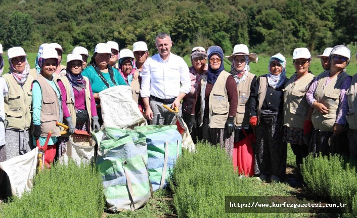Kocaeli Büyükşehir Belediyesi, TABİP Projesi ile Çiftçileri Desteklemeye Devam Ediyor