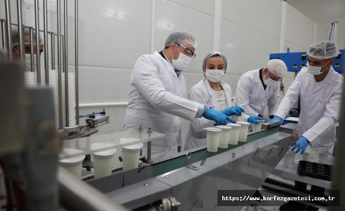 Derince Belediyesi, DERTAŞ Tesisleri'nde Ayran Üretimine Başlıyor