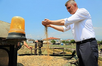 GÖLCÜK BELEDİYESİ, SOSYAL HİZMET TARLASINDA BU KEZ YEM BİTKİSİ YETİŞECEK