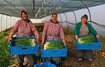 Tarımsal destekler, 2023’te çiftçinin yüzünü güldürdü;