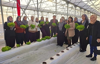 Topraksız tarım projesine, kadın çiftçilerden yoğun ilgi