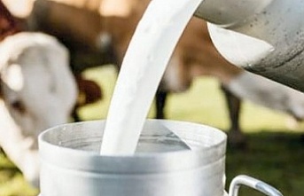 SÜTLERDE SU SKANDALI ORTAYA ÇIKTI: HATALI ÜRÜNLER TOPLATILIYOR