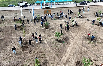 Kocaeli'nde Yeşilin Yükselişi Devam Ediyor