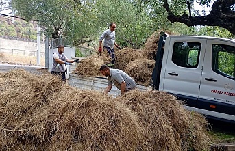 Körfez’de Yeşil Alanlara Titiz Dokunuş
