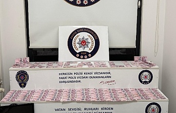 Bungalov Dolandırıcılığına, Büyük Darbe