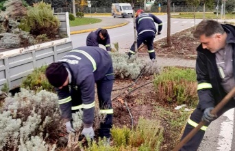 Körfez’de Kış Öncesi Yeşil Alan Seferberliği