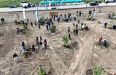 Kocaeli'nde Yeşilin Yükselişi Devam Ediyor