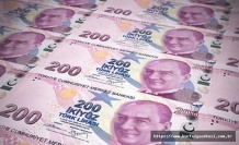 2024 YILINDA TÜRKİYE'NİN VERGİ YÜKÜ DAĞILIMI AÇIKLANDI