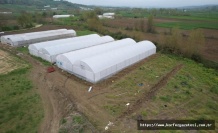 Kocaeli’de Tarıma Güçlü Destek: Modern Seralar Yükseliyor