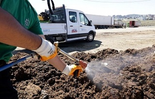 Kocaeli’de kurban pazar yerleri ilaçlanıyor