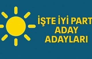 İşte İYİ Parti aday adayları