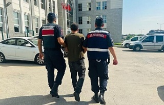 (33) yıl (4) ay kesinleşmiş hapis cezası bulunan...