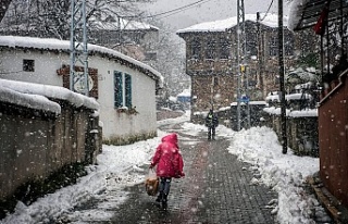 TÜRK KADININA, SEÇME VE SEÇİLME HAKKI VERİLİŞİNİN...