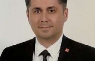 Meclis Üyesi Günay, Sokak Hayvanların Yaşam Haklarının...