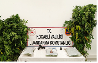 Narkotik Suçlarla Mücadele Ekipleri, Operasyon Sonuçları...