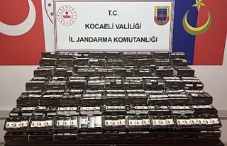 KAÇAKÇILIK SUÇLARIYLA MÜCADELEDE, ÇALIŞMALAR...