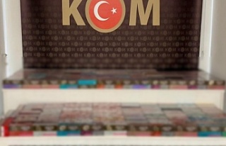 Gümrük kaçakçılığı operasyon