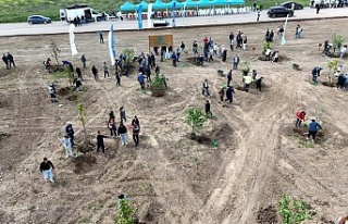 Kocaeli'nde Yeşilin Yükselişi Devam Ediyor