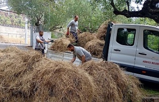 Körfez’de Yeşil Alanlara Titiz Dokunuş