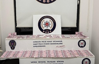 Bungalov Dolandırıcılığına, Büyük Darbe