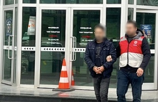 Yurtdışına Çıkışa İmkan Sağlayan Şahıs...