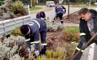 Körfez’de Kış Öncesi Yeşil Alan Seferberliği