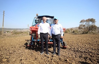 Körfez’de Atıklardan Bereket Doğdu: 5 Ton Buğday Hasat Edildi