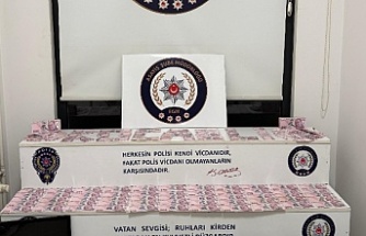 Bungalov Dolandırıcılığına, Büyük Darbe