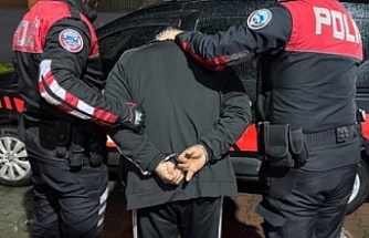 İzmit’te Bonzai Operasyonu: 1 Gözaltı