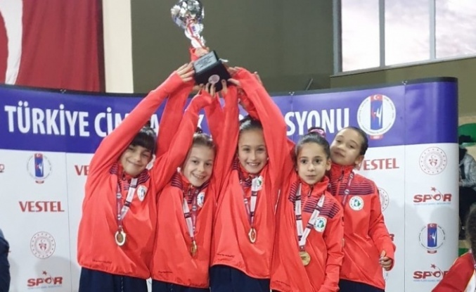 İzmitli cimnastikçiler, Türkiye Şampiyonu oldu